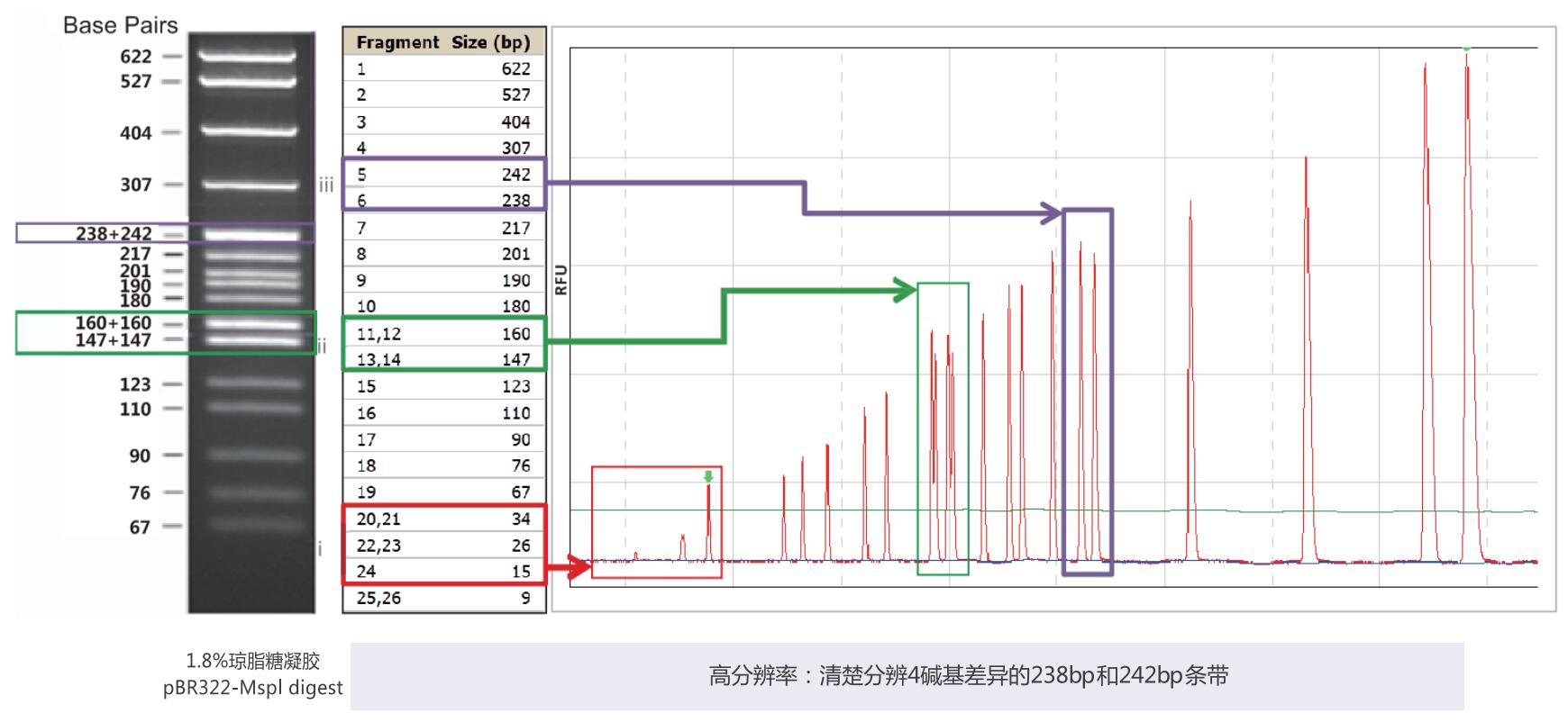 hplc 核酸分析 – hplc 分析対象 – Your Hope Radio